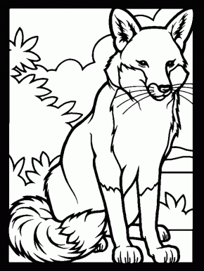 Animals Page 34 Lions Lion12 Coloring Pages Lion11 Fox3 Autumn