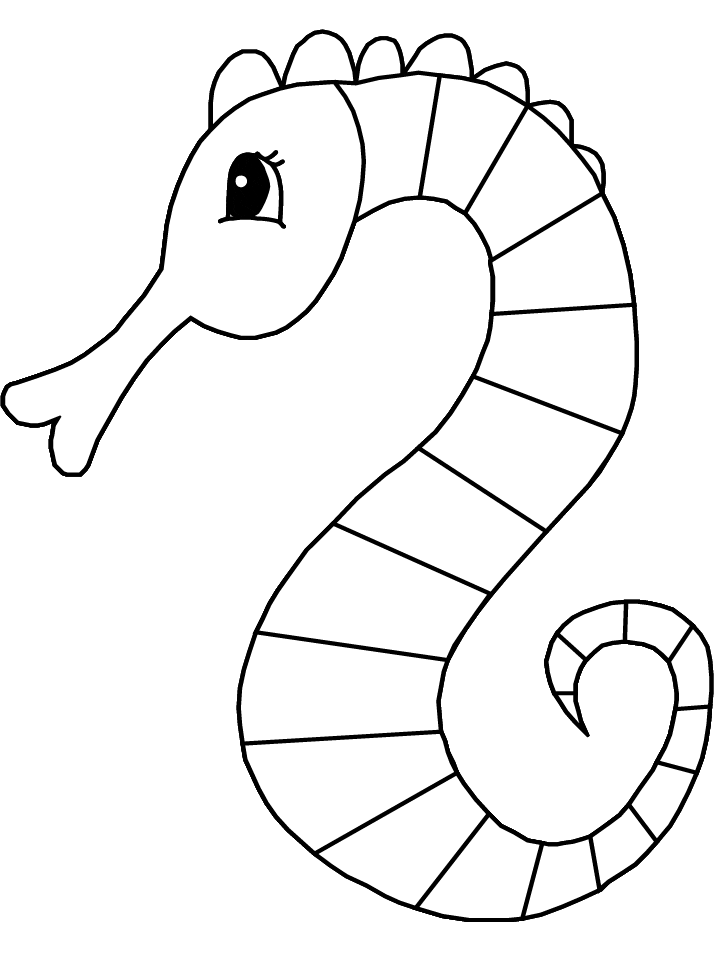 Ocean Seahorse3 Animals Coloring Pages Coloring Book