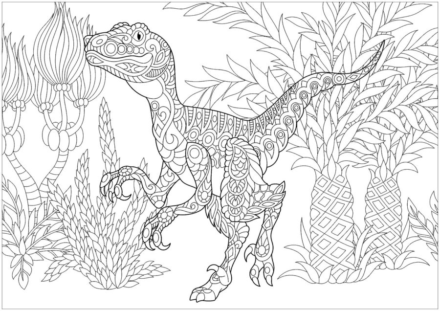 Dinosaur Adult Coloring Pages