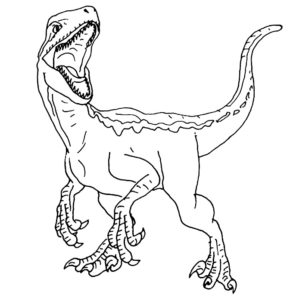 Dimorphodon Dinosaur Coloring Page & coloring book.