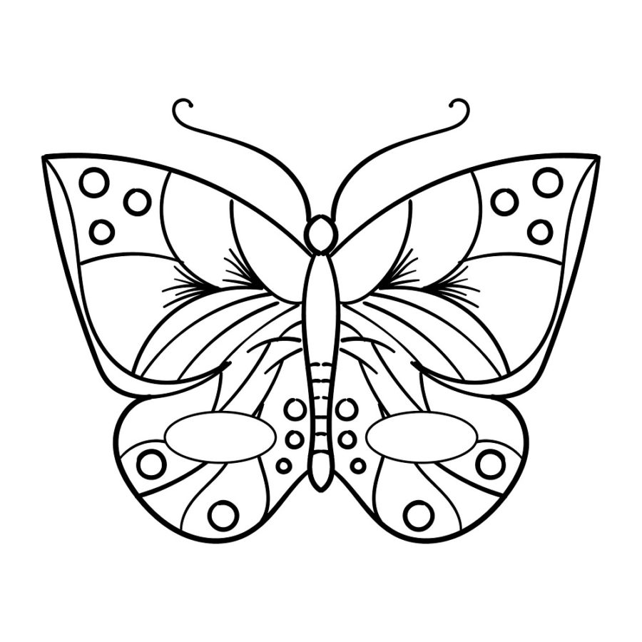 Printable Coloring Pages Butterfly