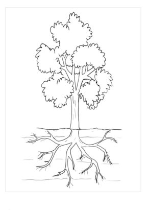 A Tree with Roots by Water Coloring Pages & book for kids.