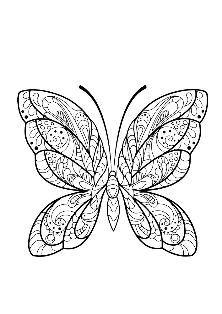 Monarch Butterfly Coloring Page & coloring book.