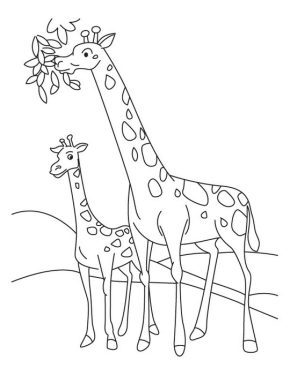 Baby Giraffe Coloring Page & coloring book. Print and color today.