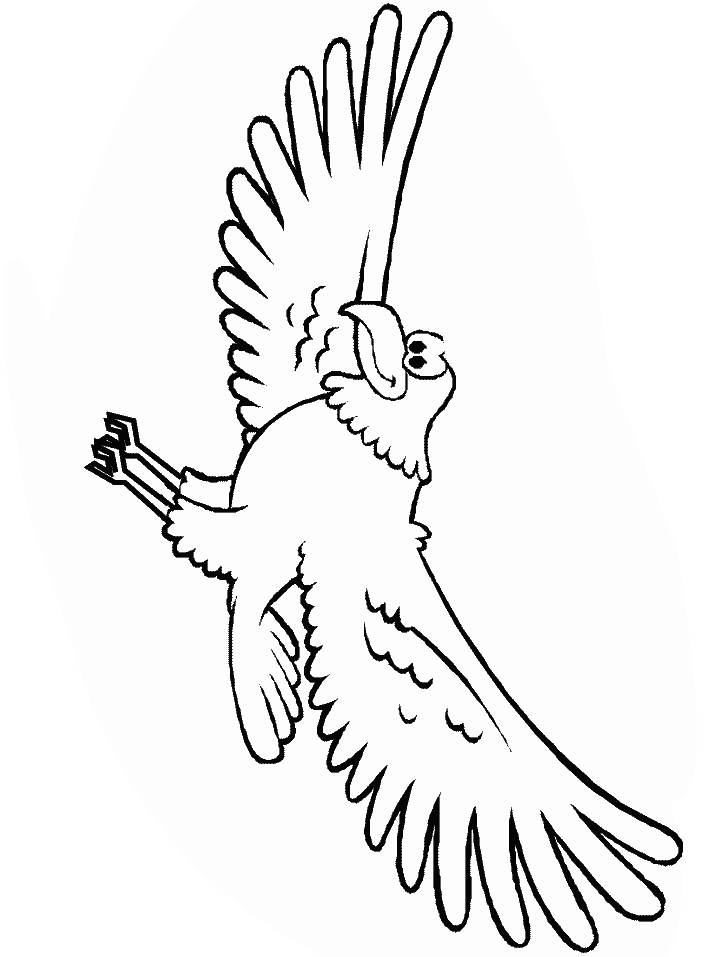 Birds Eagle Animals Coloring Pages