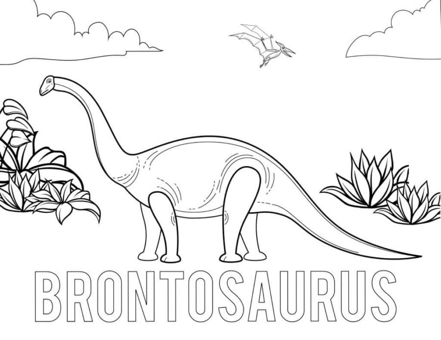 brontosaurus coloring page