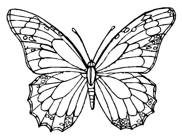 Gambar Printable Butterfly Coloring Page Coloringpagebook Pages Print ...