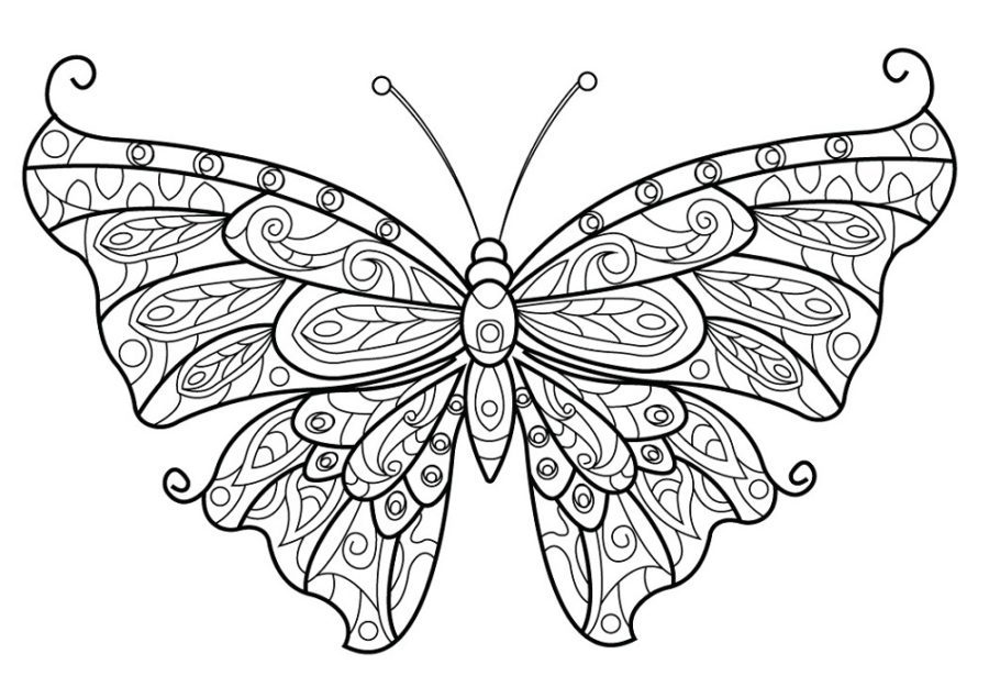 butterfly coloring pages