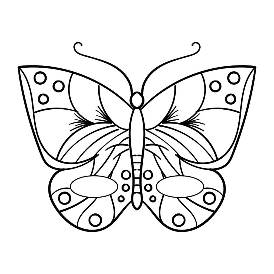 butterfly coloring pages easy