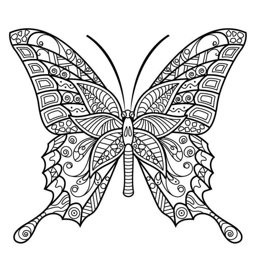 butterfly coloring pages for adults