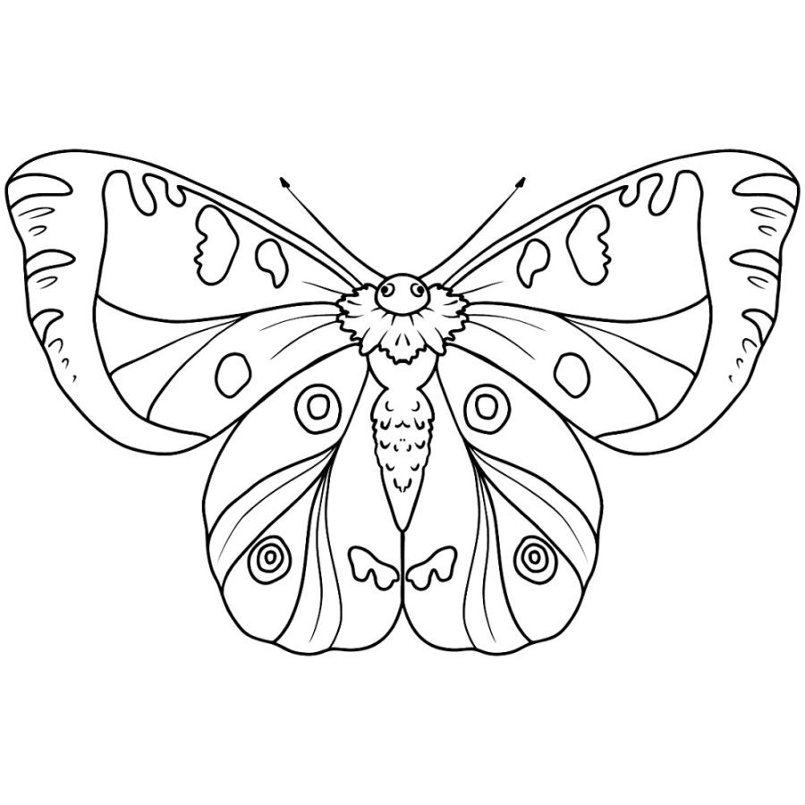 butterfly images coloring pages