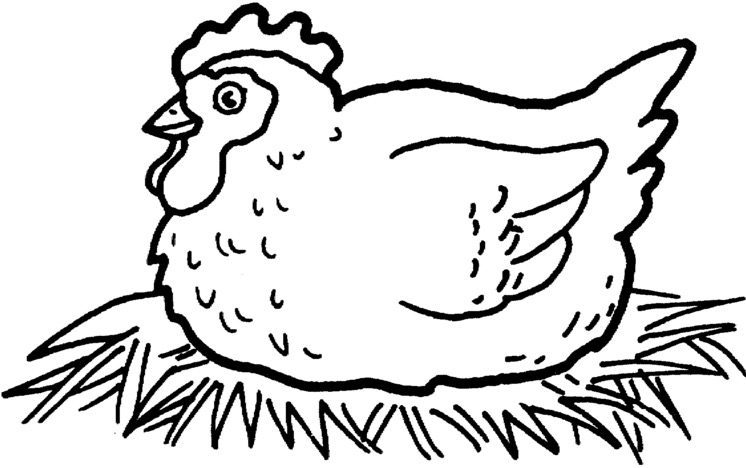 chicken-coloring-page-to-print-and-color-for-free