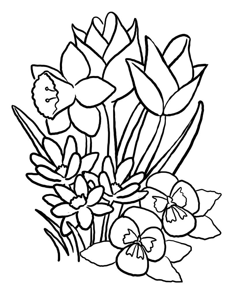 coloring pages flower