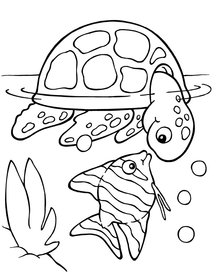 Coloring Pages For School Age Coloring Book 