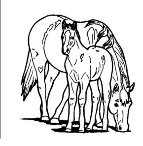 Friesian Horse Coloring Pages & coloring book. 6000+ coloring pages.