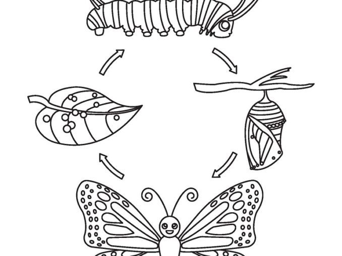 Cartoon Butterfly Coloring Page & coloring book. Find your favorite.