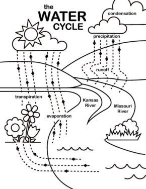 Coloring Pages of the Water Cycle & coloring book. 6000+ coloring pages.