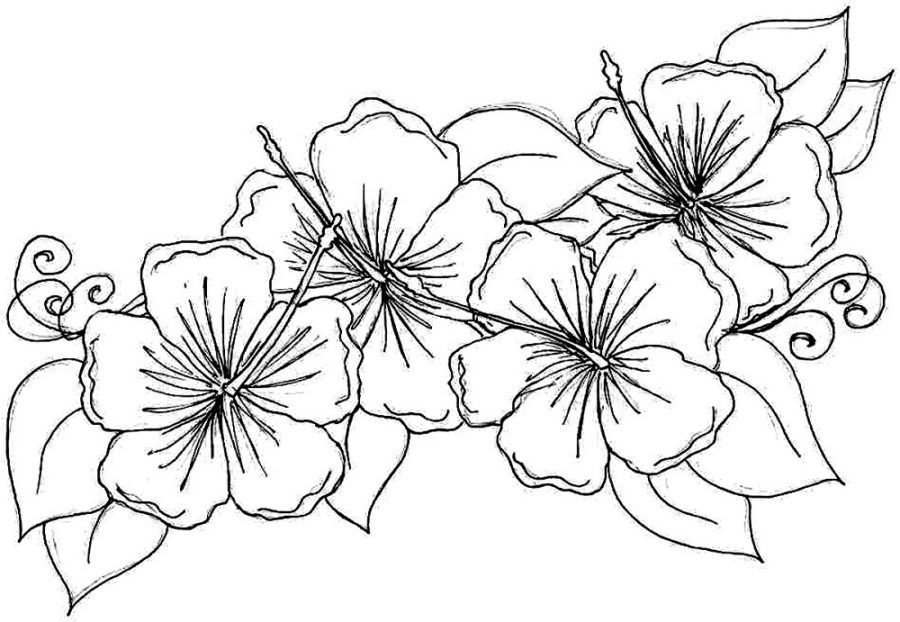 cool flower coloring pages