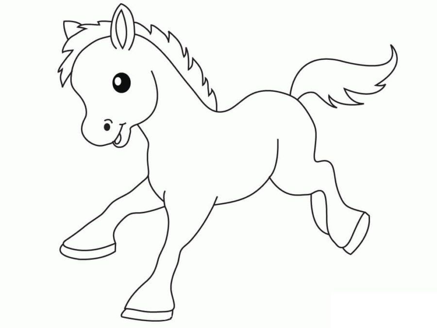 cute baby horse coloring pages