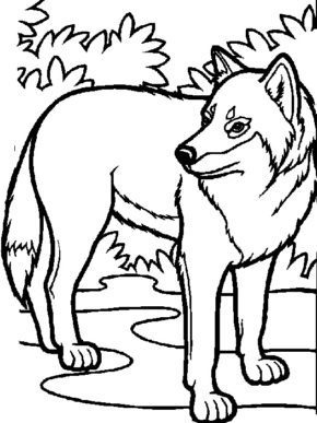 Cute Horse/Wolf Coloring Pages & book for kids.