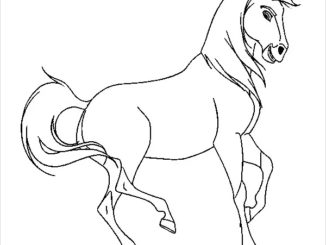 Horse Show Coloring Page & coloring book. Find your favorite.