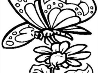 Heart Coloring Page coloring page & book for kids.