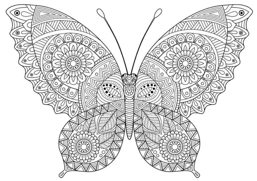 flower butterfly mandala coloring pages