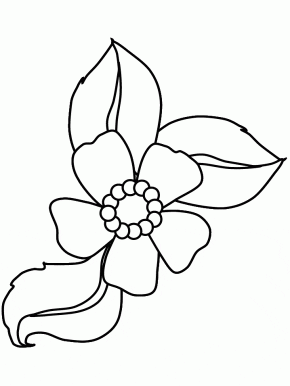 950 Coloring Page Apple Blossom Download Free Images