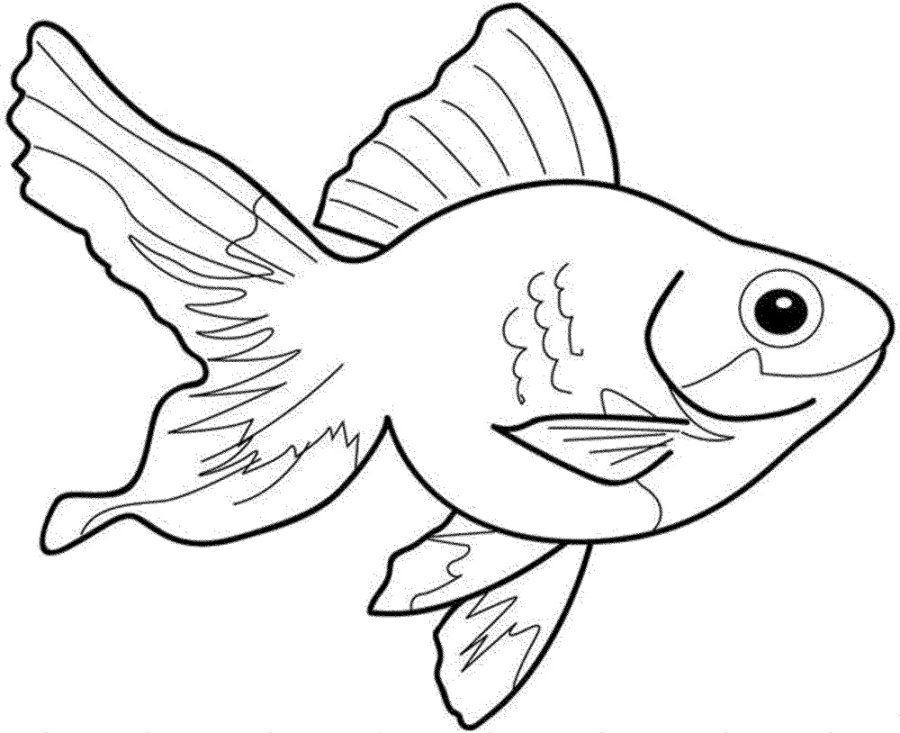 free fish coloring pages