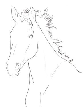 Free Printable Coloring Pages Of Horse Head & Book For Kids.