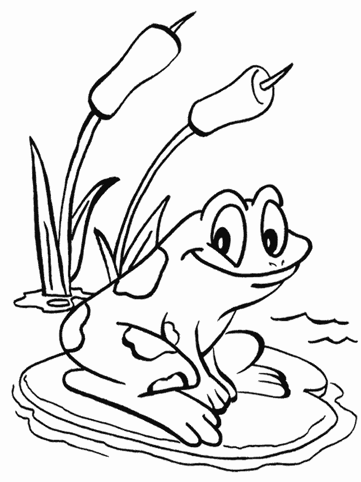 Download Frogs 26 Animals Coloring Pages | Coloring Page Book