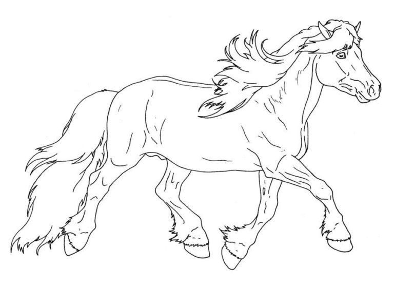 Haflinger Horse Coloring Pages for Kids & book for kids.