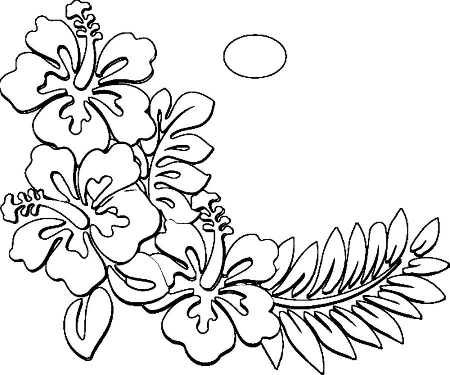 hawaiian flower coloring pages