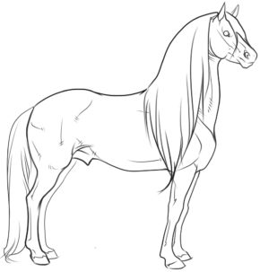 Horse Faces Coloring Pages Russian Warm Blood & book for kids