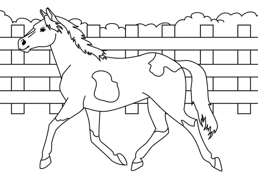 horse pictures coloring pages