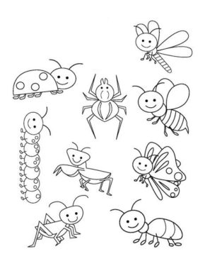 Insects and Bugs Coloring Pages & coloring book.