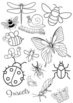 Insects Coloring Pages Free & Coloring Book.