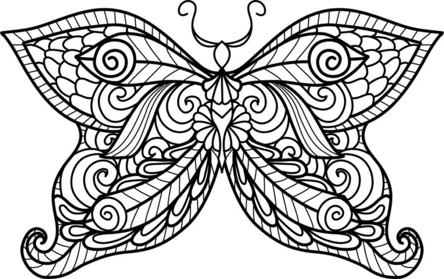 mandala butterfly coloring pages