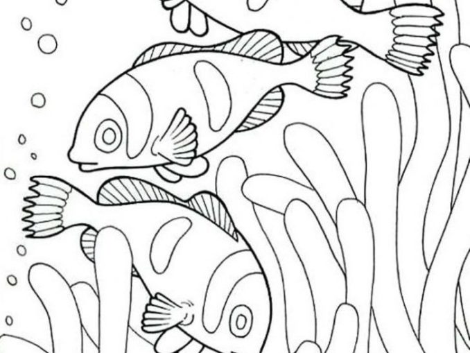 Christmas # 82 Coloring Pages & coloring book. Find your favorite.