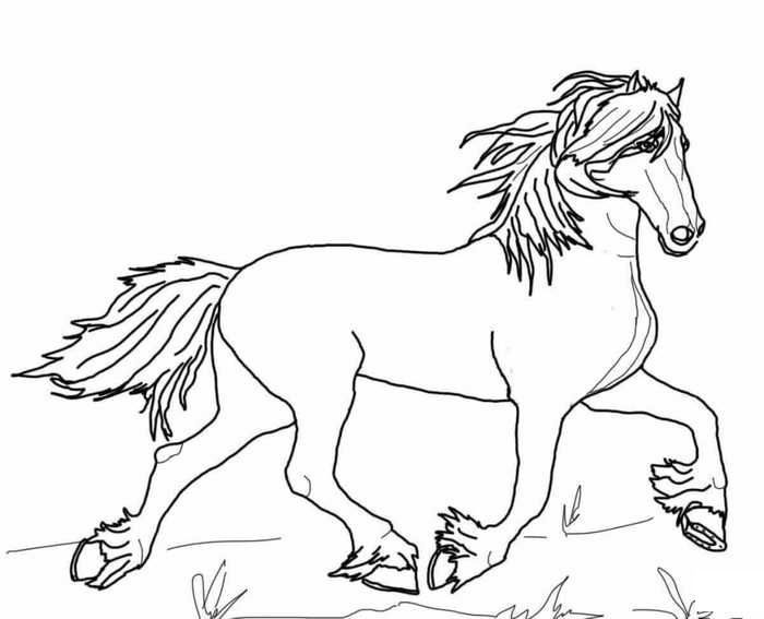 Pdf of Feathernfeet Horse Coloring Pages & book for kids.