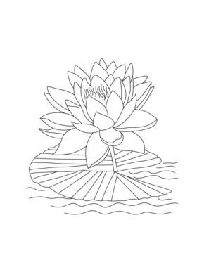 Pisces Flower Water Lily Coloring Pages & book for kids.