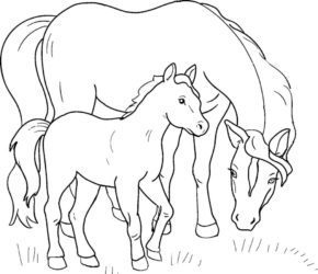 Printable Coloring Baby Horse Foal with its Mom Pages