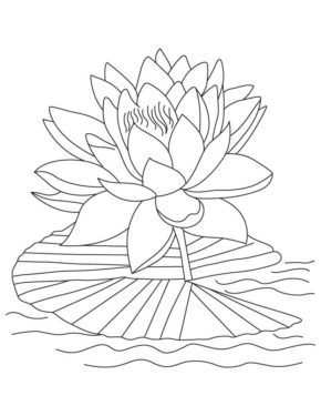 Printable Lotus Flower on Water Coloring Pages & book for kids.