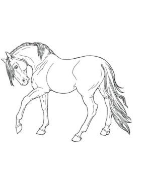 Printable Wild Horse Coloring Pages & book for kids.