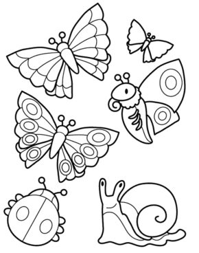 Rainforest Insects Coloring Pages & coloring book.