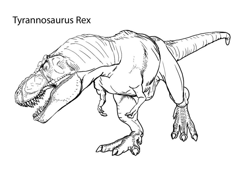 realistic dinosaur coloring pages