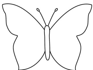 Butterfly Coloring Page & coloring book. Find your favorite.