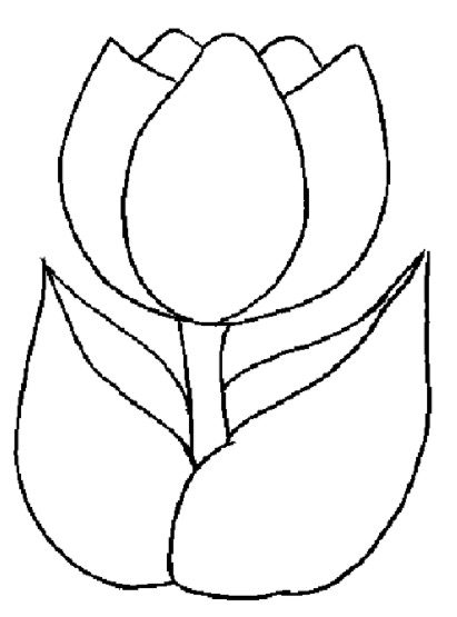 Spring Tulip Coloring Page coloring page book for kids