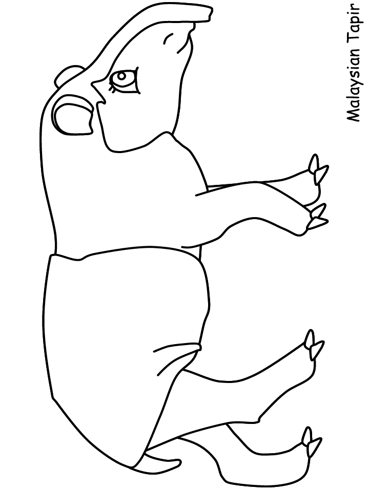 Tapir Animals Coloring Pages & Coloring Book
