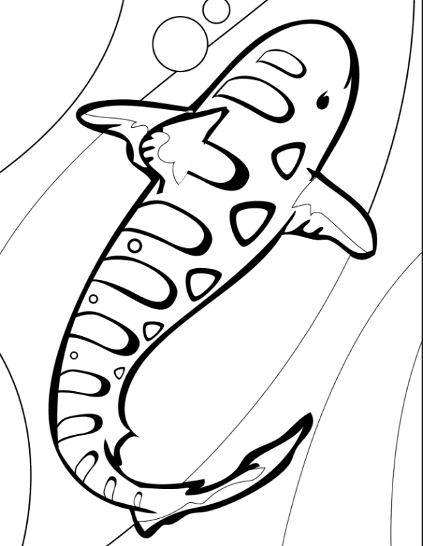 Tiger Shark Coloring Sheet